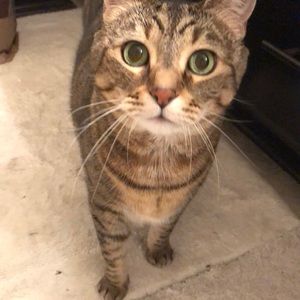 Meet your Posher, Ana